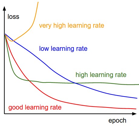 Effect of alpha on convergence