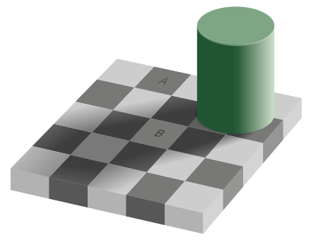 Fig. 1 - Difference in Perception